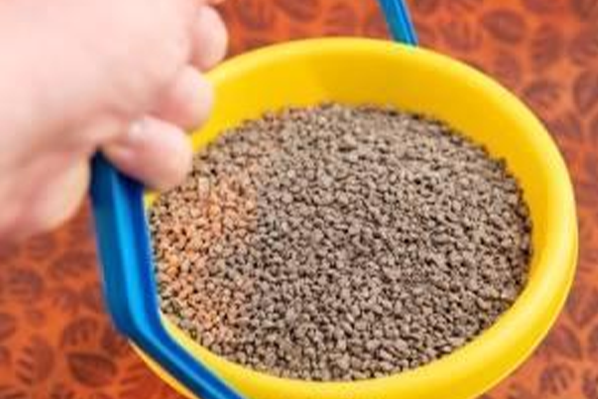 Knowledge Popularization | Understanding the Types, Usage, and Selection Guide of Cat litter